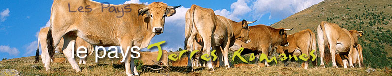 Tourisme de terroir