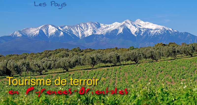 Tourisme de terroir