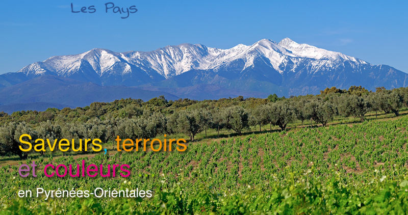 Tourisme de terroir