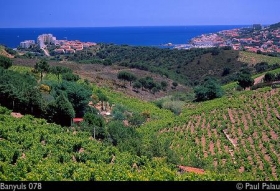 Les-Vins-Doux-Naturels