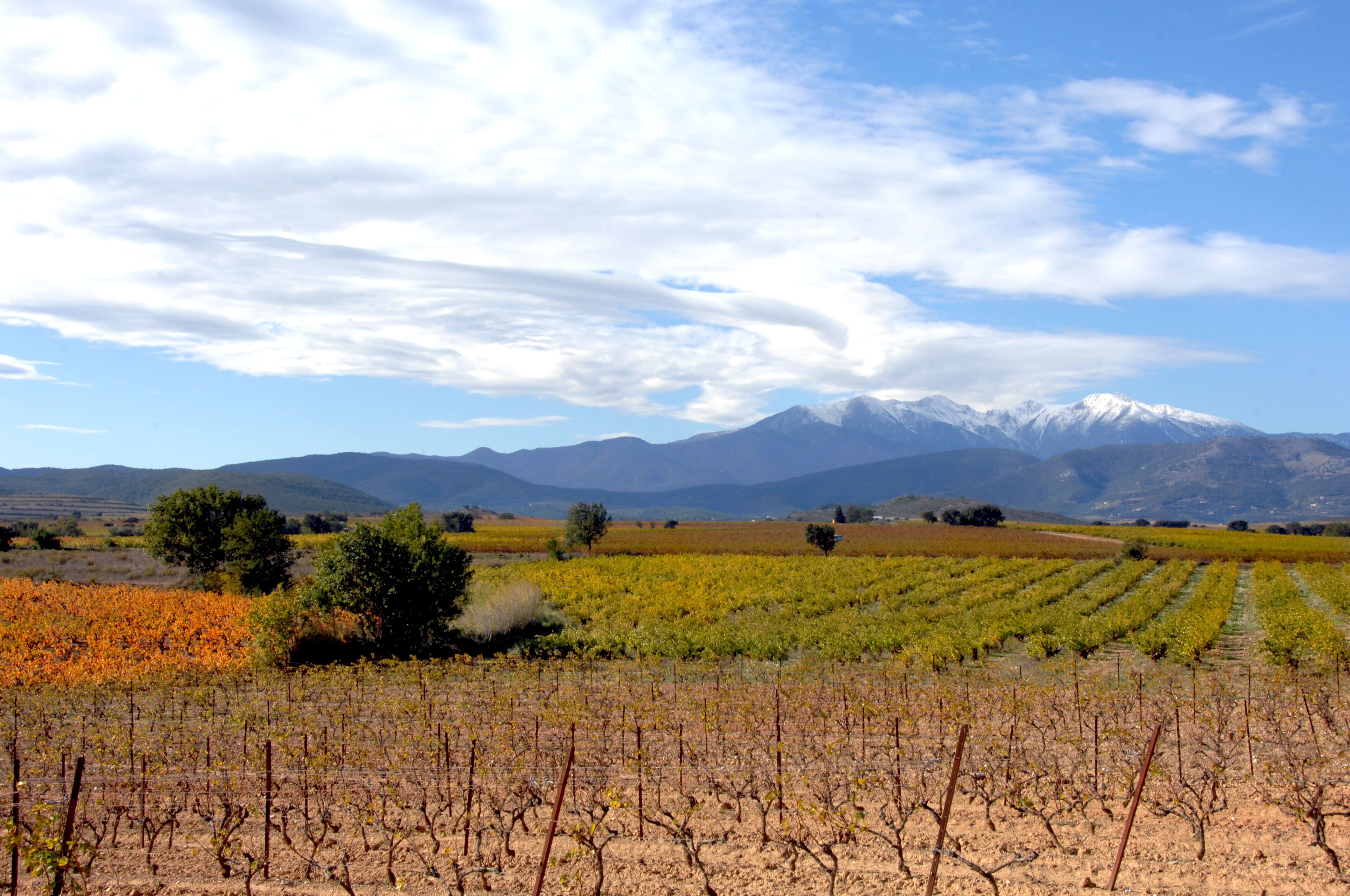 Les Rendez-Vous Gourmands - Automne 2018