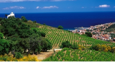Guide Tourisme de Terroir 2017-2018 !