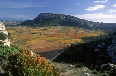 Le Cirque de Vingrau