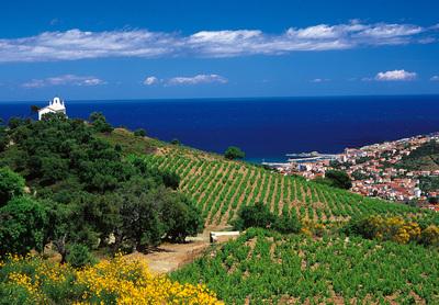 Banyuls Banyuls