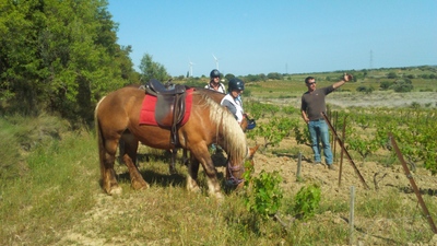 Week-end Cheval et Vin Week-end Cheval et Vin