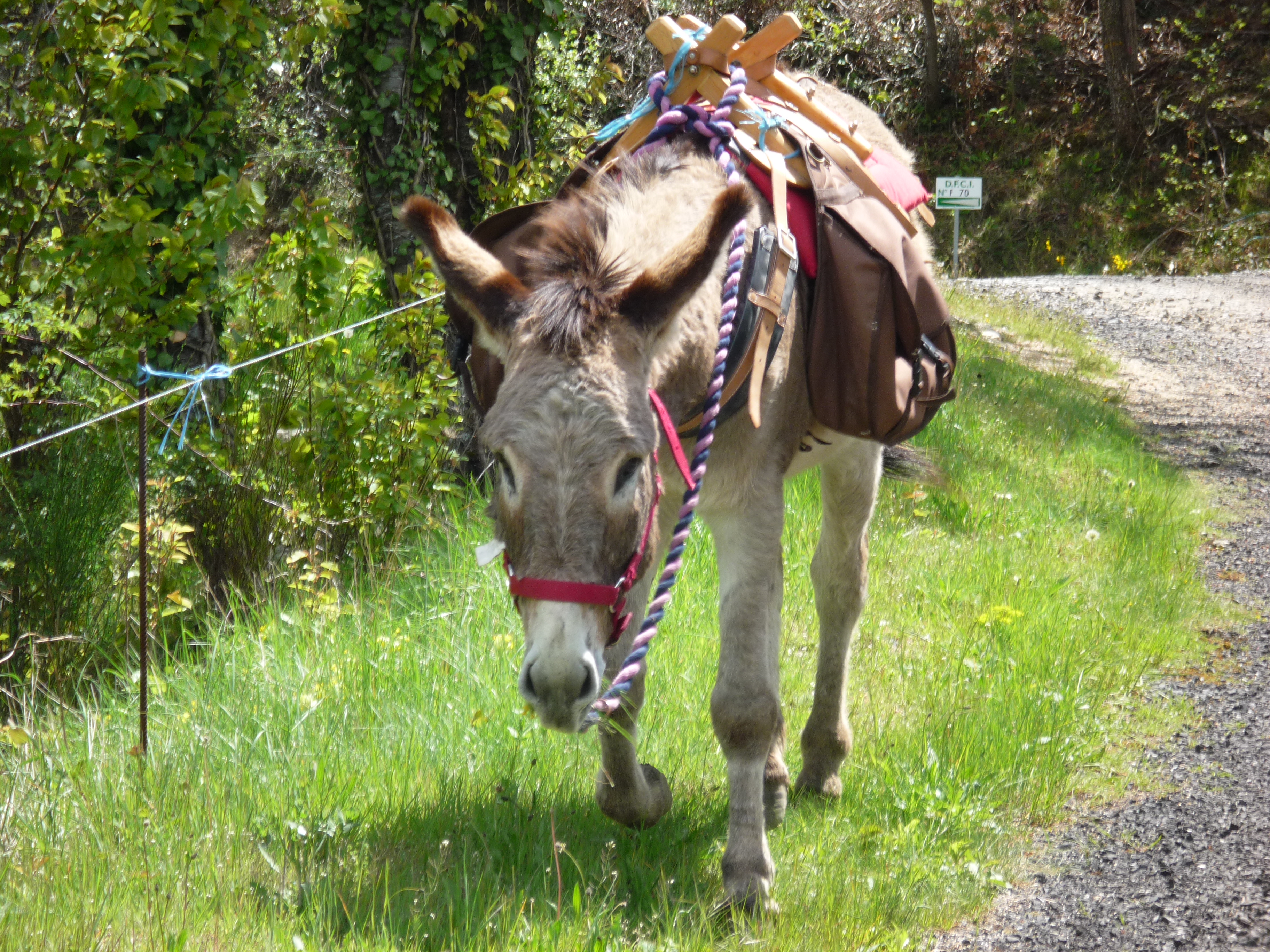 ASINERIE DE RABOUILLET