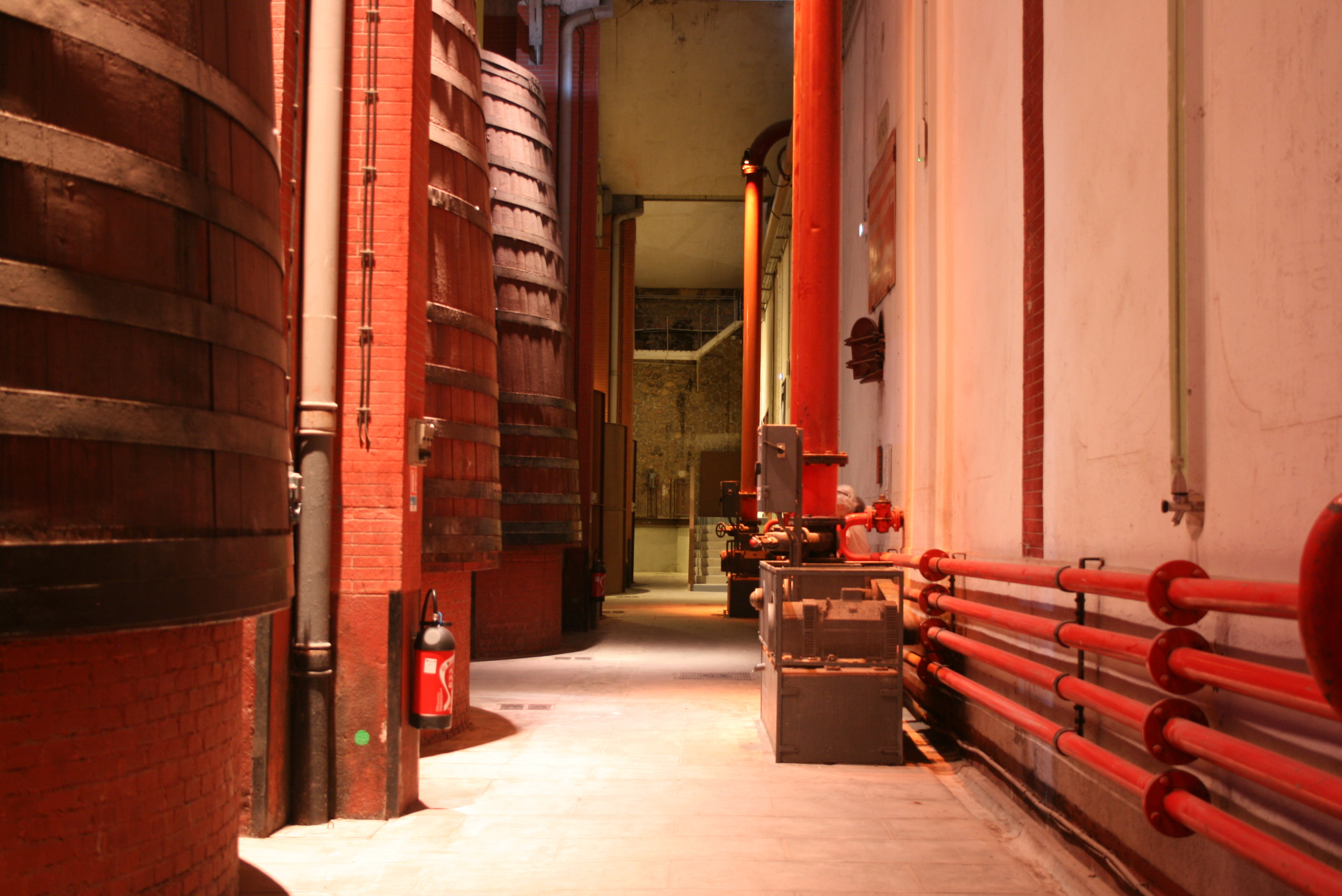 CAVES BYRRH