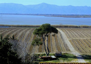 CHATEAU L'ESPARROU