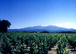 CLOS SAINT GEORGES