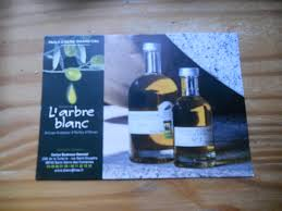 DOMAINE DE L'ARBRE BLANC