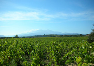 DOMAINE DE NIDOLERES
