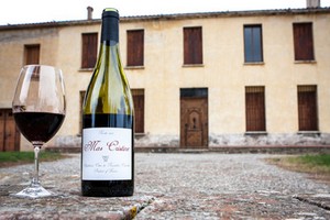 DOMAINE DU MAS CRISTINE