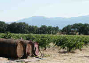 DOMAINE DU MAS ALART