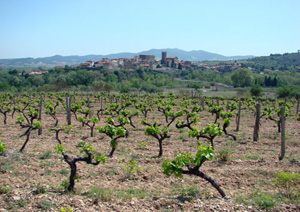 DOMAINE FABRESSE