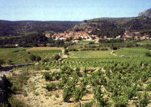 DOMAINE DES CHENES
