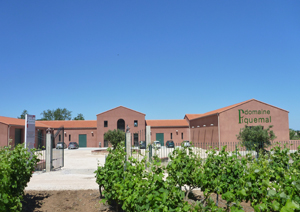 DOMAINE PIQUEMAL