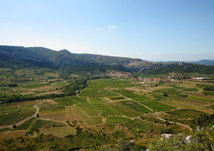 LES VIGNERONS DE TAUTAVEL VINGRAU