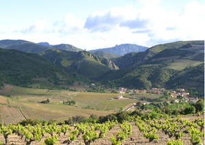 LES VIGNERONS DE TREMOINE CAVE DE RASIGUERES