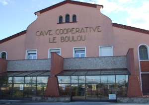 LES VIGNERONS DU VALLESPIR