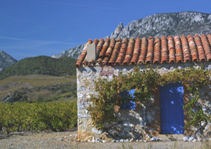 LES VIGNERONS DE MAURY