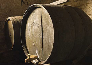 LES VIGNERONS EN TERRES ROMANES