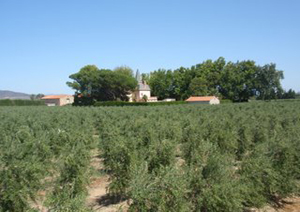 MOULIN SAINT PIERRE
