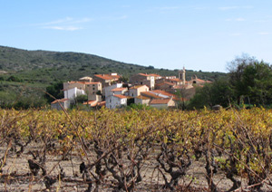SCV LES VIGNERONS DU CHATEAU DE CALCE