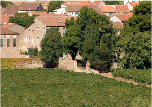 VIGNOBLES DOM BRIAL