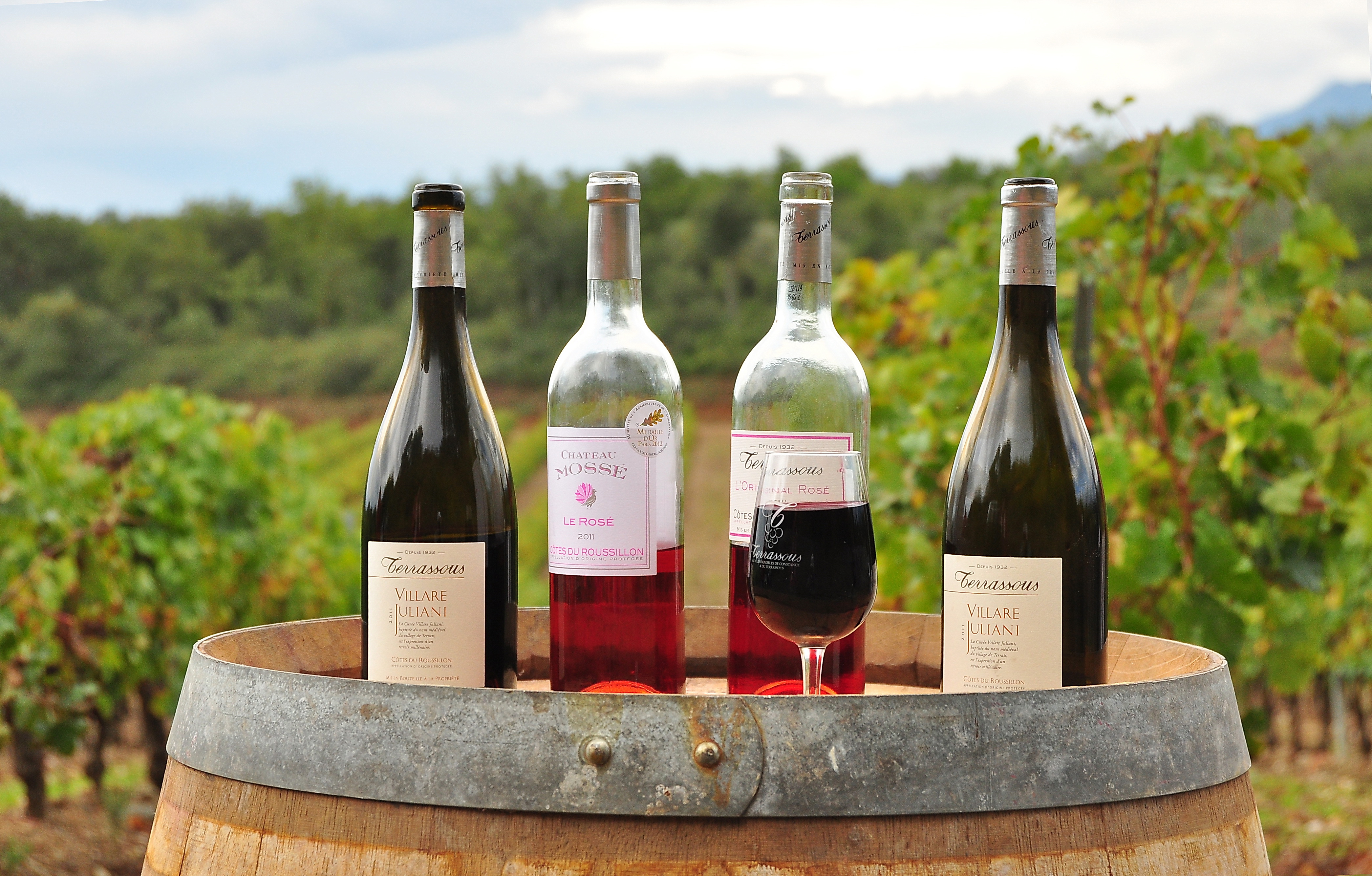 SCV LES VIGNOBLES DE CONSTANCE ET DU TERRASSOUS