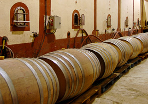 SCV LES VIGNERONS EN TERRES ROMANES