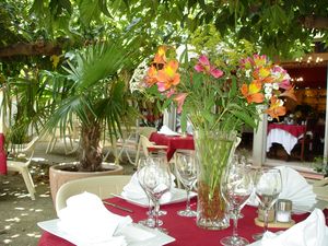 L'ARAMON GOURMAND